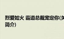 烈爱如火 霸道总裁宠定你(关于烈爱如火 霸道总裁宠定你的简介)