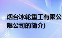 烟台冰轮重工有限公司(关于烟台冰轮重工有限公司的简介)