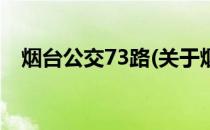 烟台公交73路(关于烟台公交73路的简介)