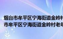 烟台市牟平区宁海街道金岭村老年人日间照料中心(关于烟台市牟平区宁海街道金岭村老年人日间照料中心的简介)