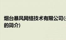 烟台暴风网络技术有限公司(关于烟台暴风网络技术有限公司的简介)