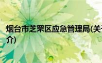 烟台市芝罘区应急管理局(关于烟台市芝罘区应急管理局的简介)