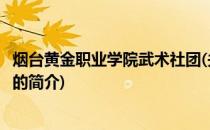 烟台黄金职业学院武术社团(关于烟台黄金职业学院武术社团的简介)