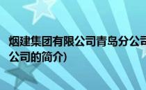 烟建集团有限公司青岛分公司(关于烟建集团有限公司青岛分公司的简介)