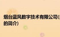 烟台蓝风数字技术有限公司(关于烟台蓝风数字技术有限公司的简介)