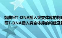 烟曲霉T-DNA插入突变体库的构建及致病相关突变体的研究(关于烟曲霉T-DNA插入突变体库的构建及致病相关突变体的研究的简介)