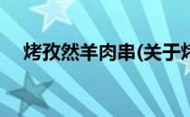 烤孜然羊肉串(关于烤孜然羊肉串的简介)