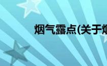 烟气露点(关于烟气露点的简介)