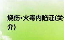 烧伤·火毒内陷证(关于烧伤·火毒内陷证的简介)