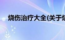 烧伤治疗大全(关于烧伤治疗大全的简介)