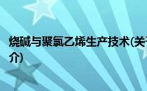 烧碱与聚氯乙烯生产技术(关于烧碱与聚氯乙烯生产技术的简介)