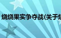 烧烧果实争夺战(关于烧烧果实争夺战的简介)