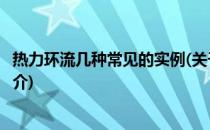 热力环流几种常见的实例(关于热力环流几种常见的实例的简介)