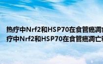 热疗中Nrf2和HSP70在食管癌凋亡和转移的功能及机制的研究(关于热疗中Nrf2和HSP70在食管癌凋亡和转移的功能及机制的研究的简介)