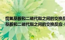 烷氧基胺和二硫代酯之间的交换反应-RAFT过程的模型反应(关于烷氧基胺和二硫代酯之间的交换反应-RAFT过程的模型反应的简介)