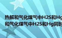 热解和气化煤气中H2S和Hg同时脱除的理论研究(关于热解和气化煤气中H2S和Hg同时脱除的理论研究的简介)