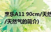 烹乐A11 90cm/天然气(关于烹乐A11 90cm/天然气的简介)