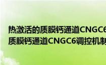 热激活的质膜钙通道CNGC6调控机制的研究(关于热激活的质膜钙通道CNGC6调控机制的研究的简介)