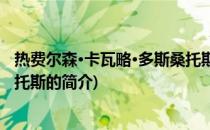 热费尔森·卡瓦略·多斯桑托斯(关于热费尔森·卡瓦略·多斯桑托斯的简介)