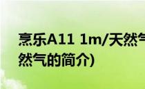 烹乐A11 1m/天然气(关于烹乐A11 1m/天然气的简介)