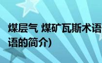 煤层气 煤矿瓦斯术语(关于煤层气 煤矿瓦斯术语的简介)