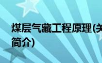 煤层气藏工程原理(关于煤层气藏工程原理的简介)