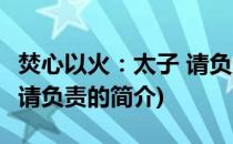 焚心以火：太子 请负责(关于焚心以火：太子 请负责的简介)