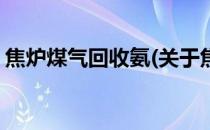 焦炉煤气回收氨(关于焦炉煤气回收氨的简介)