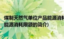 煤制天然气单位产品能源消耗限额(关于煤制天然气单位产品能源消耗限额的简介)