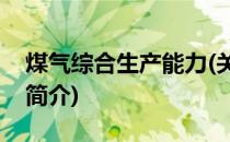 煤气综合生产能力(关于煤气综合生产能力的简介)