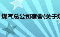 煤气总公司宿舍(关于煤气总公司宿舍的简介)