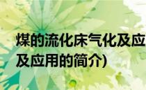 煤的流化床气化及应用(关于煤的流化床气化及应用的简介)