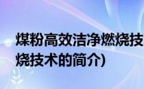 煤粉高效洁净燃烧技术(关于煤粉高效洁净燃烧技术的简介)