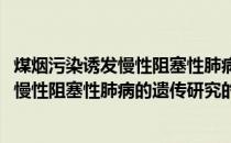 煤烟污染诱发慢性阻塞性肺病的遗传研究(关于煤烟污染诱发慢性阻塞性肺病的遗传研究的简介)