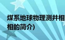 煤系地球物理测井相(关于煤系地球物理测井相的简介)