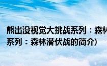 熊出没视觉大挑战系列：森林潜伏战(关于熊出没视觉大挑战系列：森林潜伏战的简介)