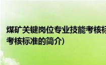 煤矿关键岗位专业技能考核标准(关于煤矿关键岗位专业技能考核标准的简介)