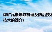 煤矿瓦斯爆炸机理及防治技术(关于煤矿瓦斯爆炸机理及防治技术的简介)