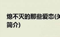 熄不灭的那些爱恋(关于熄不灭的那些爱恋的简介)