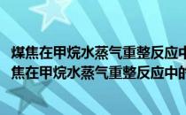 煤焦在甲烷水蒸气重整反应中的构效关系与制氢机理(关于煤焦在甲烷水蒸气重整反应中的构效关系与制氢机理的简介)