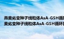 燕麦劣变种子线粒体AsA-GSH循环抗氧化机制与差异蛋白表达(关于燕麦劣变种子线粒体AsA-GSH循环抗氧化机制与差异蛋白表达的简介)