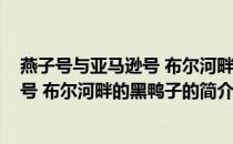 燕子号与亚马逊号 布尔河畔的黑鸭子(关于燕子号与亚马逊号 布尔河畔的黑鸭子的简介)