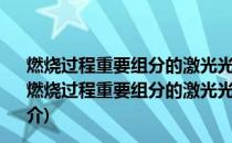 燃烧过程重要组分的激光光谱测量与温度修正方法研究(关于燃烧过程重要组分的激光光谱测量与温度修正方法研究的简介)