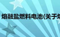 熔融盐燃料电池(关于熔融盐燃料电池的简介)