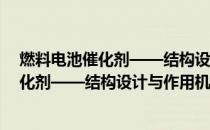 燃料电池催化剂——结构设计与作用机制(关于燃料电池催化剂——结构设计与作用机制的简介)