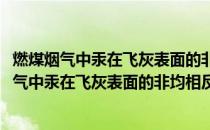 燃煤烟气中汞在飞灰表面的非均相反应机理研究(关于燃煤烟气中汞在飞灰表面的非均相反应机理研究的简介)