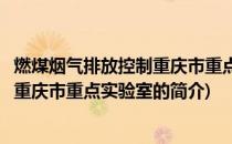 燃煤烟气排放控制重庆市重点实验室(关于燃煤烟气排放控制重庆市重点实验室的简介)