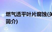 燃气透平叶片腐蚀(关于燃气透平叶片腐蚀的简介)