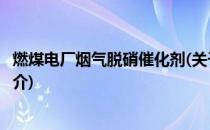 燃煤电厂烟气脱硝催化剂(关于燃煤电厂烟气脱硝催化剂的简介)