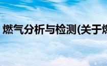 燃气分析与检测(关于燃气分析与检测的简介)